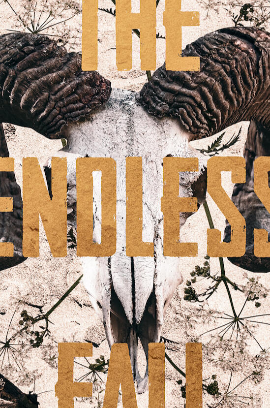 THE ENDLESS FALL