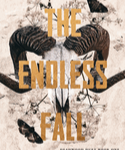 THE ENDLESS FALL